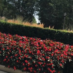 Meet your Posher, Lupita